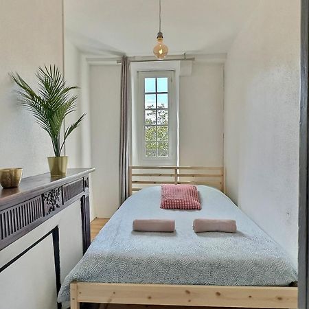 Vue Magique Sur Le Chateau Dans Un Quartier Populaire Pau Eksteriør billede