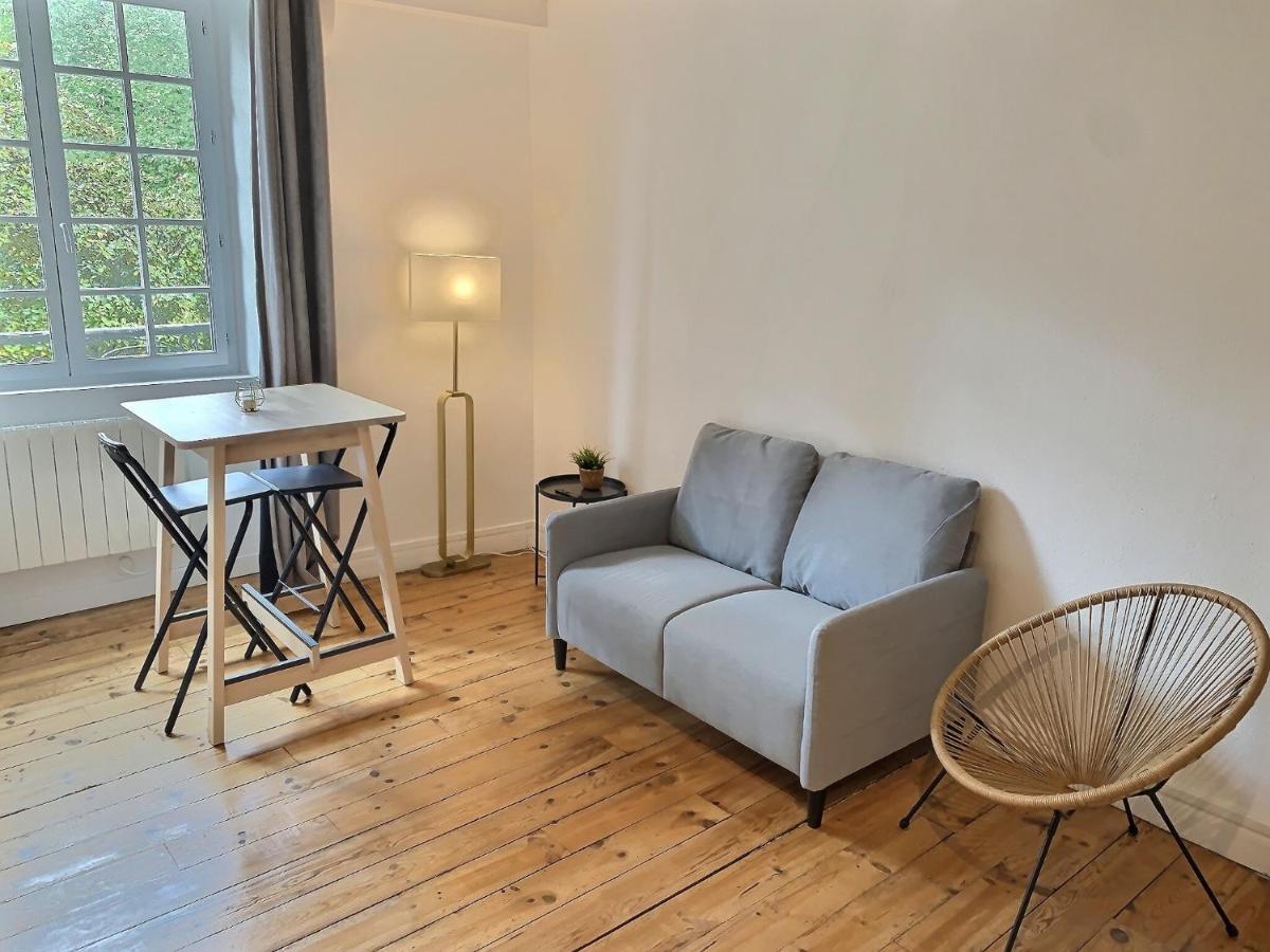 Vue Magique Sur Le Chateau Dans Un Quartier Populaire Pau Eksteriør billede